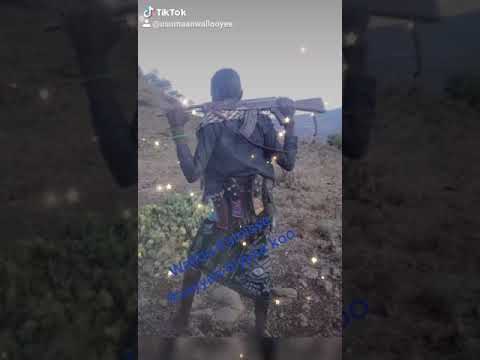 Ijolee Walloo Tii Mudii