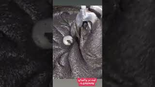 سیاه دانه و عسل #حکیم زمانی#shorts