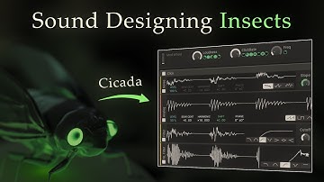 How To Sound Design Insects