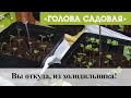 Голова садовая - Вы откуда, из холодильника!