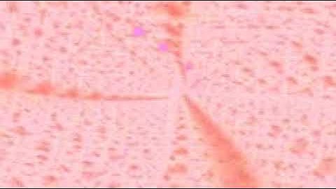 سورة العنكبوت بصوت الشيخ القارئ سعود الشريم