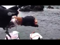 釣り入門 磯のウキフカセ釣り STEP-3実釣・釣りスタート