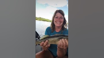 we put some fish in the net this year! hopefully next year is even better! #baitman #kastking