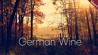 독일 와인 German Wine | 와인 생산 지역 이야기 | 와인 기초 | 와인공부