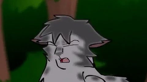 Ashfur MAP: I Hate Everything About You (Part 12)