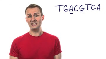 Binding Site - Tales from the Genome