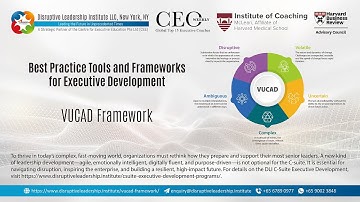 The "V.U.C.A." Framework for a Volatile, Uncertain, Complex and Ambiguous Business Environment