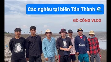 Trải nghiệm cào nghêu tại biển Tân Thành cùng team GÒ CÔNG VLOG