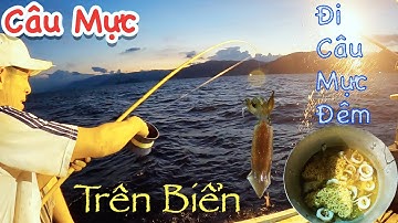 Câu Mực #1 - Đi Câu Mực Đêm Trên Biển  || Dân Biển