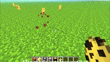 Minecraft 1.2.5 New update (New features, fixed bugs)