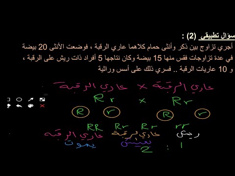 فيديو: الحق في العض. معركة الرجال من أجل تجمع الجينات أمس ، اليوم ، غدًا