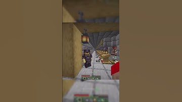 Funny Lifesteal members screams | #lifestealsmp #funny #minecraft #screams #manepear #princezam