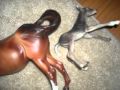 Horse birth stop motion