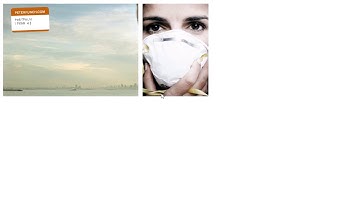 Peter Funch flash website in 2001