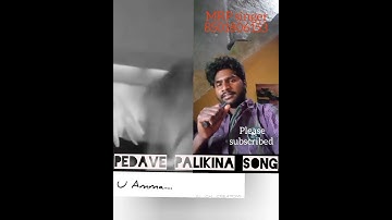 Thumbnail of pedave palikina song