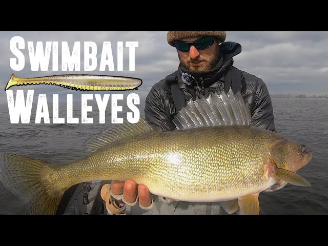 CRUSHING Big Walleyes On Swimbaits! 