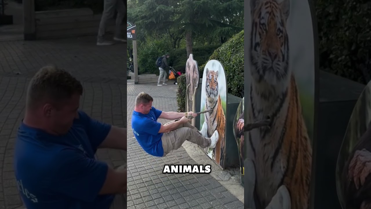 He Thought He Could Pull An Elephant... He Was Wrong 😳🐘💪 auf YouTube ansehen He Thought He Could Pull An Elephant... He Was Wrong 😳🐘💪 auf YouTube ansehen