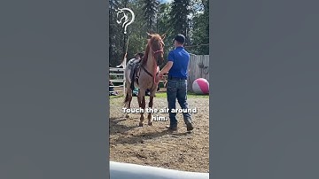 Working With A Client’s EMM Mustang! Part 2! | The Horse Guru - Michael Gascon