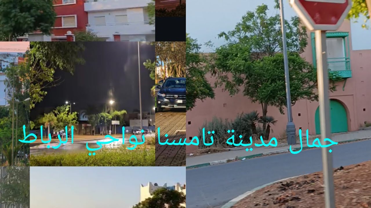 جولة في مدينة تامسنا