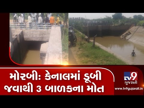 Morbi: Three kids drown in canal, search operation underway | Tv9GujaratiNews