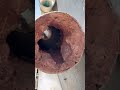 Cast Iron Pipe Blockage Cleared#CastIronPipeCleaning #PipeBlockage #HydroJetting #AMJET