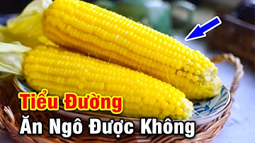 Người Bệnh Tiểu Đường Có Ăn Được Bắp Ngô Không  - Chữa Bệnh Tiểu Đường