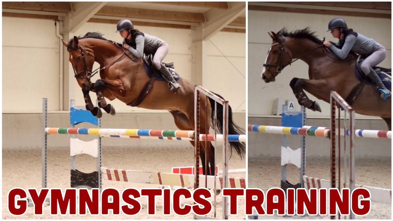 EXPLAINING HORSE GYMNASTICS YouTube EXPLAINING HORSE GYMNASTICS YouTube