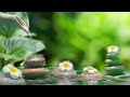 Relaxing Music for Sleep, Healing, Concentration, Work, Calming Music,Meditation Music, Nature Sound