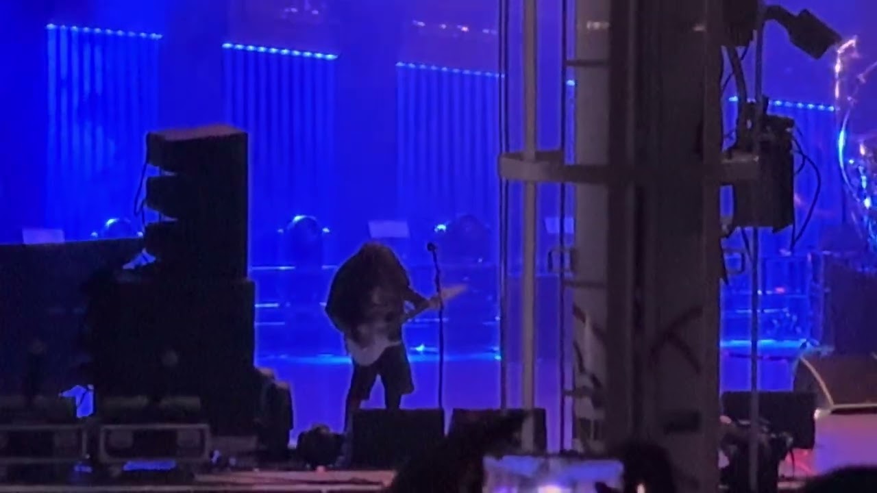 Korn shoots and ladders 