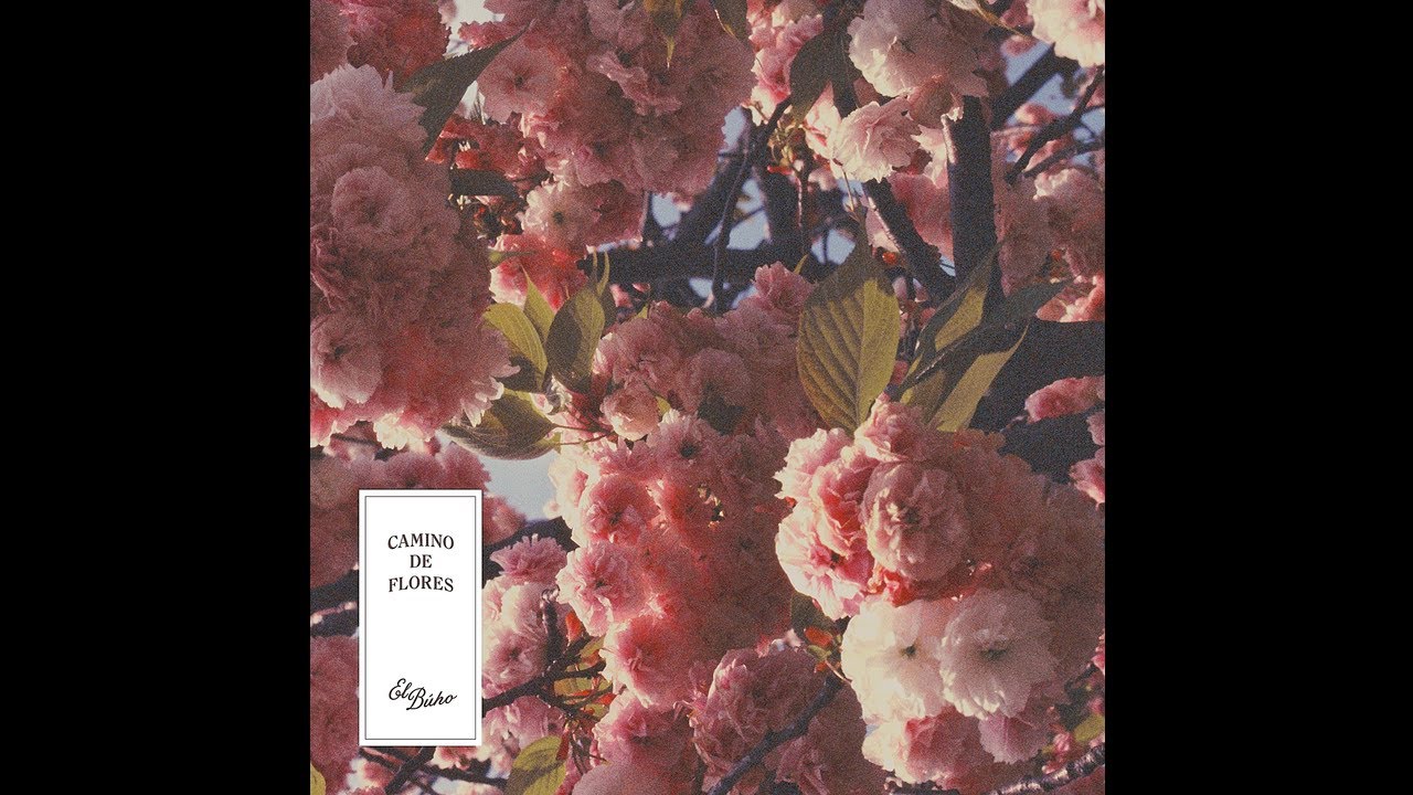 {artistName}의 {trackName} 뮤직 비디오 보기