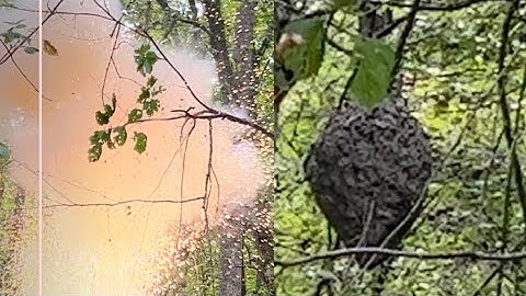 BLOWING UP HORNET NEST AFTER ATTACKING LAWN BOY!