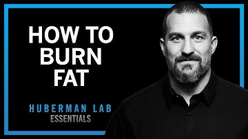 The Huberman Effect|  Lose Fat With Science-Based Tools | Huberman Lab Essentials