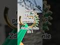 Ozdobna biżuteria na świeże przekłucie ? W piercingu bezpieczeństwo to podstawa #piercing #legnica