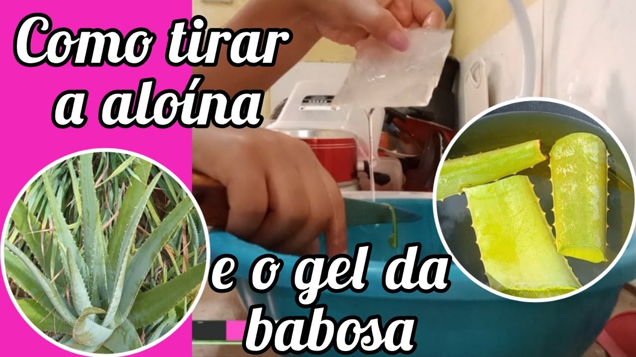 Como tirar a aloína e o gel da babosa jeito fácil - YouTube