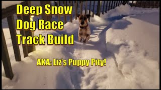 Puppy Race Track Build In Deep Snow Around The Pool