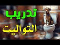 حصة تدريب عملي علي التواليت مع بينو جرو كوكر