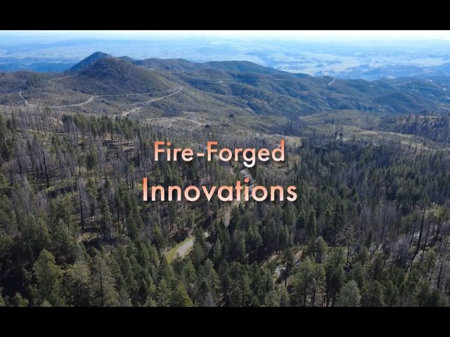Fire-Forged Innovations | Wood Innovation Series