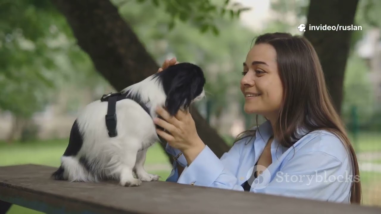 Кот и собака против дедлайна: кто победит?