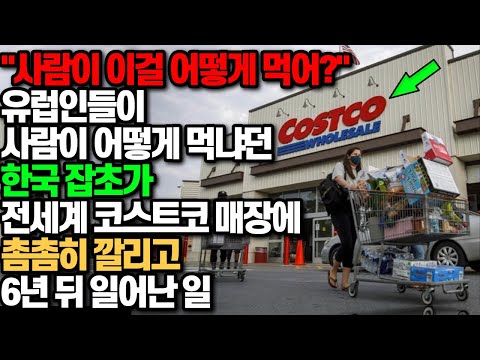 유럽인들이 "사람이 어떻게 먹냐?"던 한국잡초가 전세계 코스트코 매장에 촘촘히 깔리고 6년 뒤 일어난 일