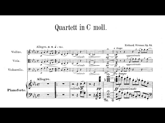 Richard Strauss - Piano Quartet in C Minor, Op. 13 class=