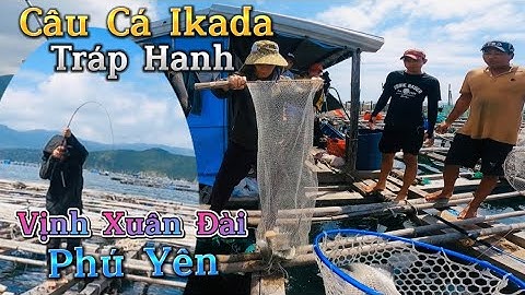 Câu Ikada Cá Hanh Tráp Vịnh Xuân Đài Phú Yên - Một Ngày Làm Camera Men