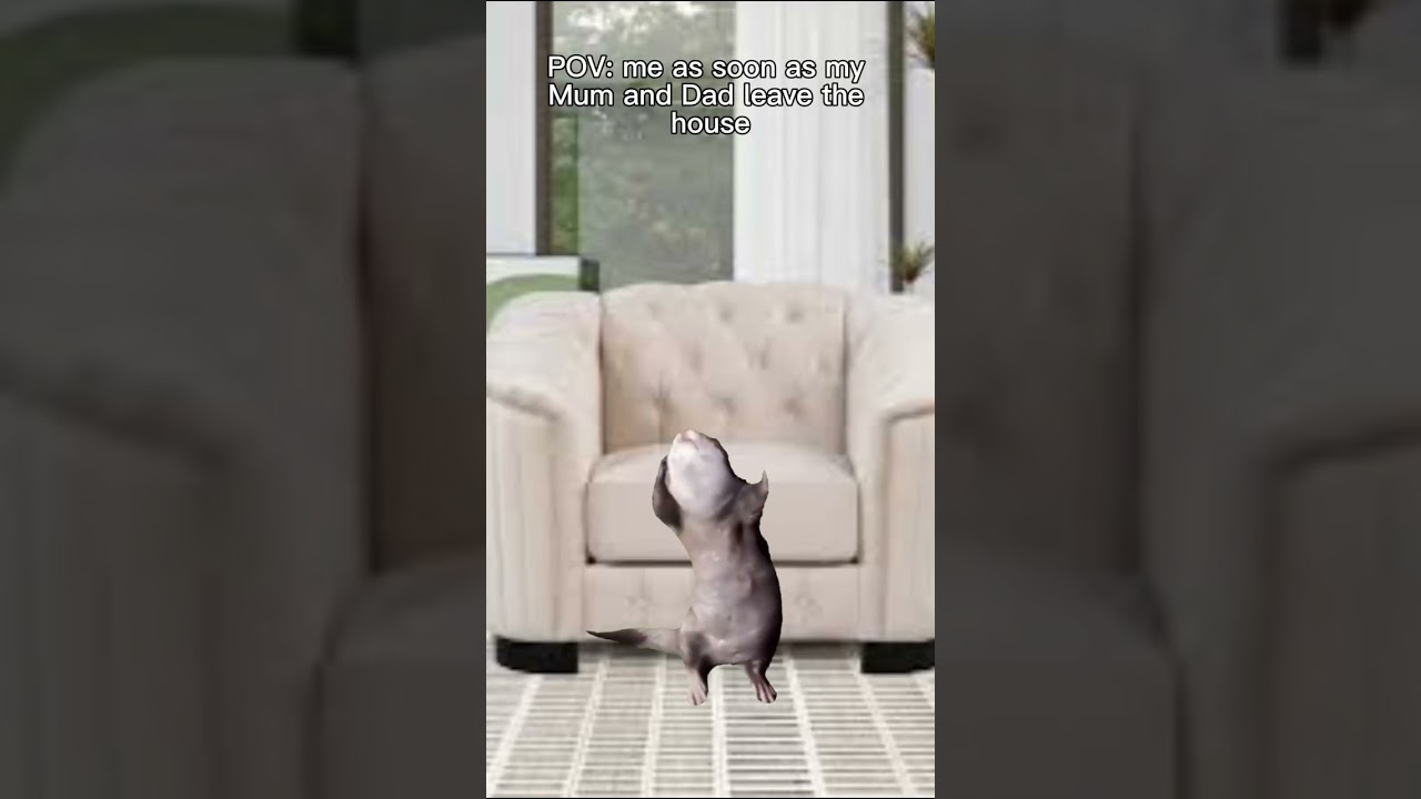 I’ve been a nasty girl!!😹