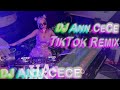 New tiktok trending remix no copyright music dj ann cece 2023 2024