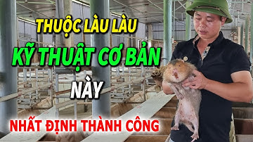 Muốn Nuôi Dúi Nhất Định Phải Nắm Vững Các Kỹ Thuật Cơ Bản Này