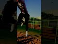 ستوري المرجوحة