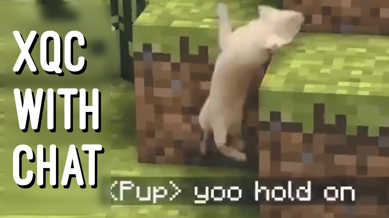 xQc reacts to UNUSUAL MEMES COMPILATION V68 (with chat)