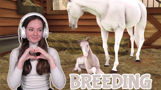 BREEDING AND BUYING PURE WHITE HORSES - Rival Stars Horse Racing | Pinehaven screenshot 5