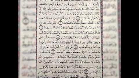 سورة آل عمران من آية 1 إلي الآية 14 بصوت القارئ عبدالكريم 🌷