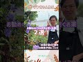 台風後のバラの病気対策 #まつおえんげい　#台風　#黒点病