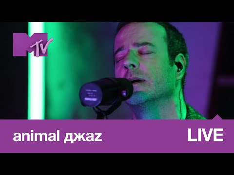 Animal Джаz – Три полоски // MTV LIVE MUSIC